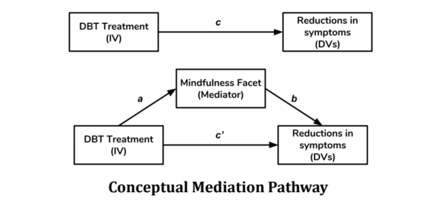 DBT Nonreactivity and Nonjudging