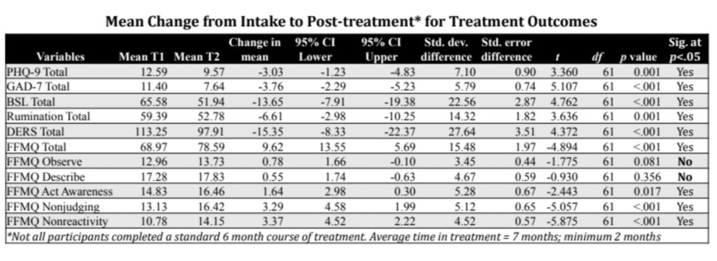 Mindfulness-based treatments