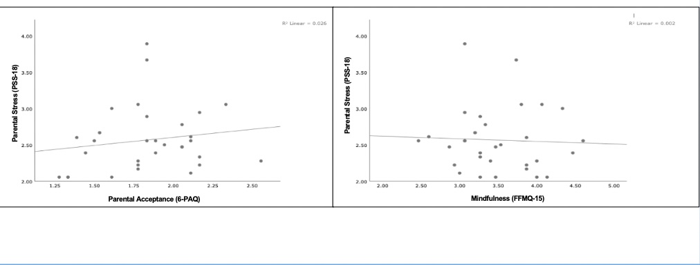 Parental Stress and Mindfulness