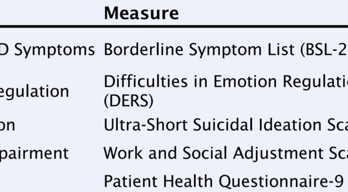 Differences in DBT Treatment Outcomes Among People with Serious Mental Illness